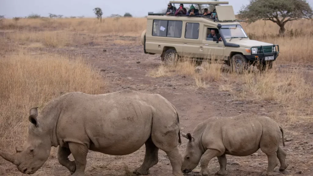 destinos para viajar com sua mãe - Safari na África