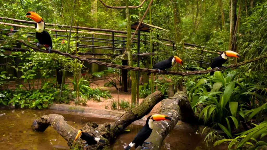viagem com avós - Parque das Aves, Foz do Iguaçu
